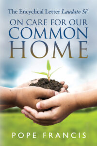 On Care For Our Common Home, Non-Fiction, Religious, Spiritual